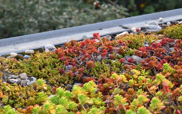 the cost of Birtley Green green roof installation