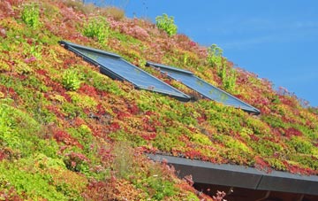 Birtley Green living roof systems
